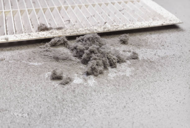 Best Best Air Duct Cleaning Company  in Muncy, PA