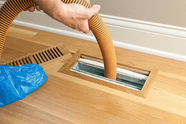 Best Home Air Vent Cleaning  in Muncy, PA